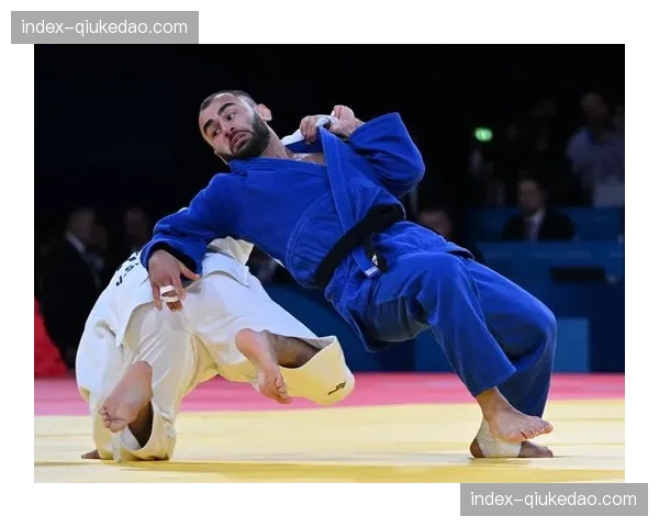 为迎奥运，巴黎柔道比赛场馆完成声学与照明系统升级测试